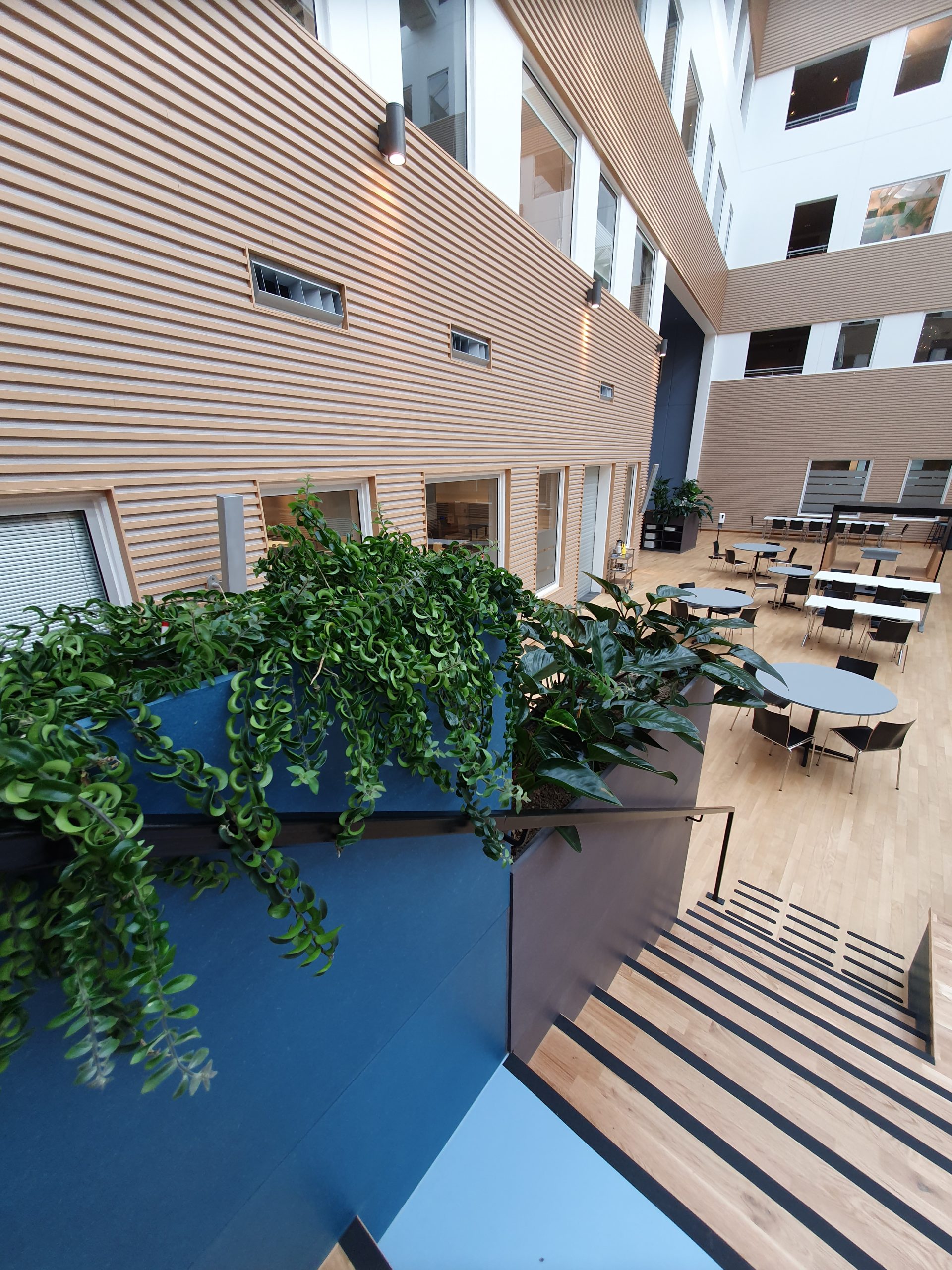 Årets Växtinredning 2021 – Dags att rösta!! – NILA – Nordic Interior ...