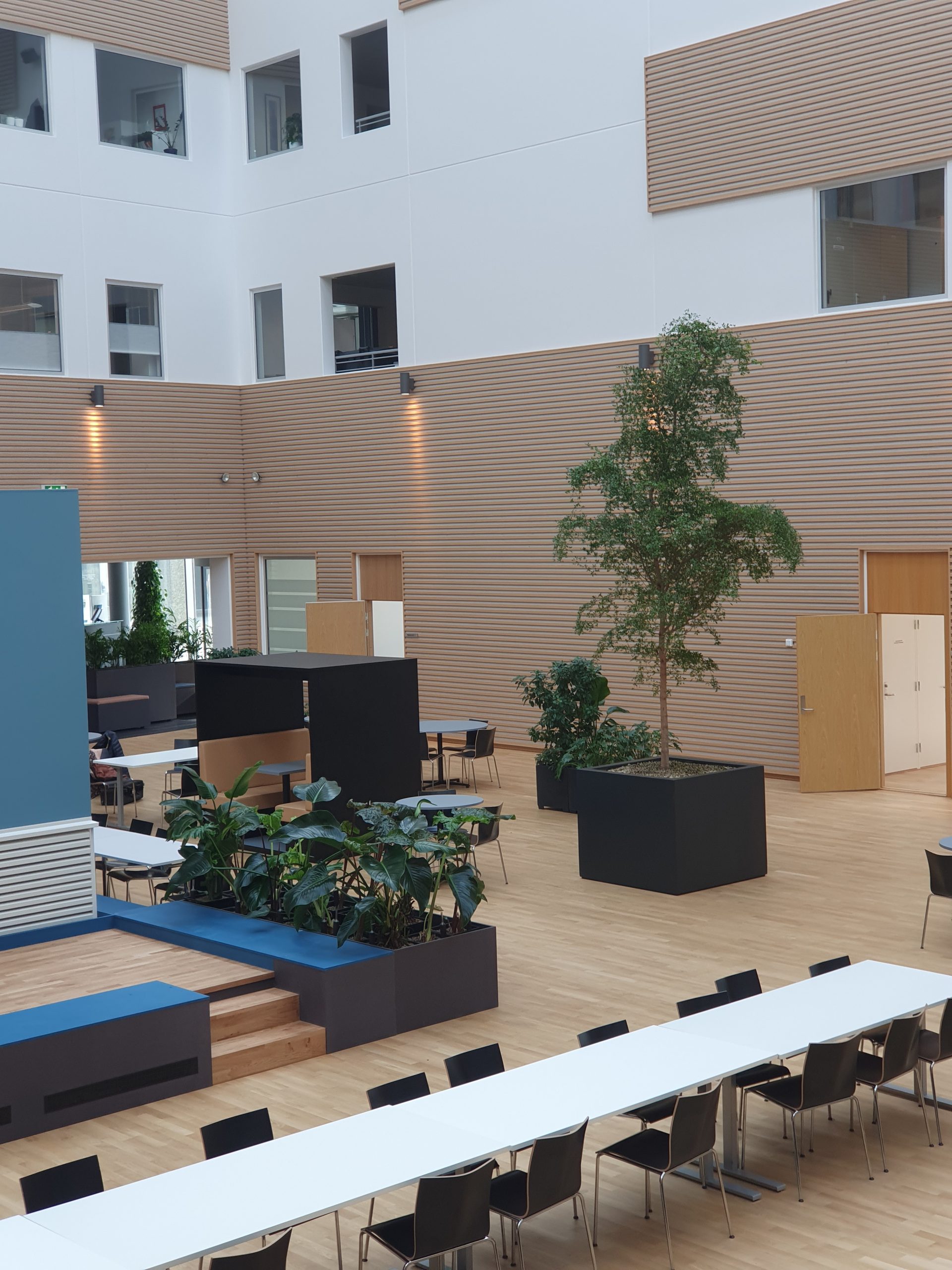 Nordic Interior Landscaping Association: Elevating Sustainable Design Through Nature-Inspired Spaces